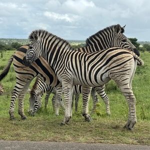 Meet your Posher, Barbara